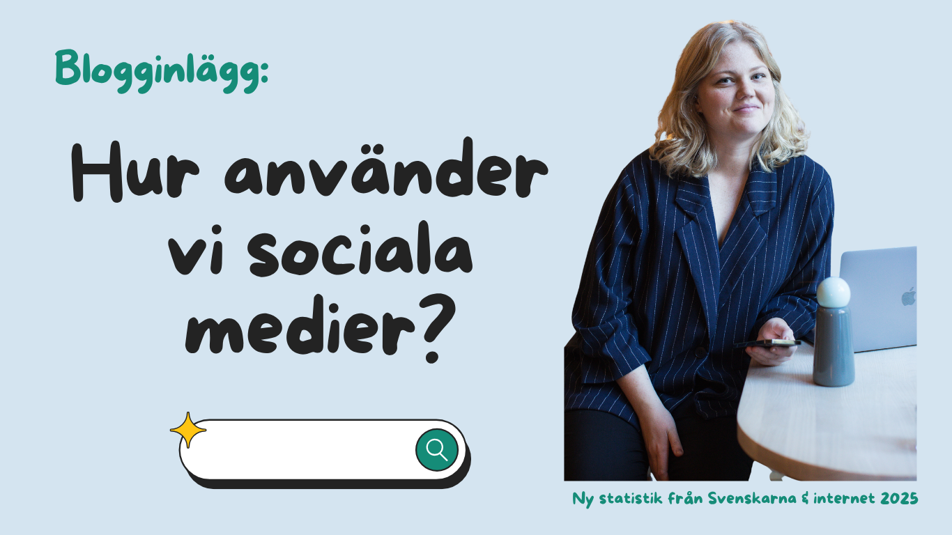 Blogginlägg: Svenskarna & internet 